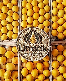 2 ADET / 1 LT MEŞHUR LİMSAK - LİMON SARIMSAK KÜRÜ / GİMDES HELAL SERTİFİKALI
